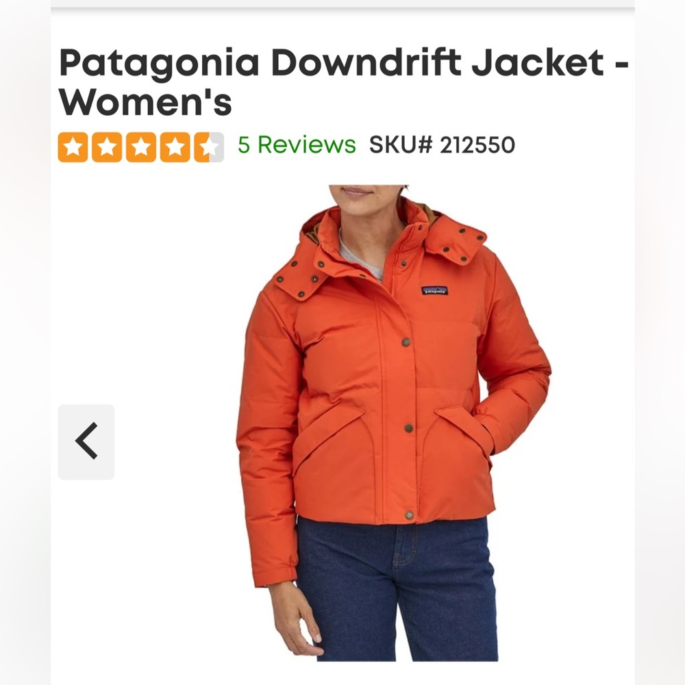 Patagonia Downdrift Jacket
